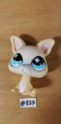 LITTLEST PETSHOP figurine: CHIHUAHUA DOG #837 (dog)
