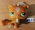 LITTLEST PETSHOP figurine: SIAMESE CAT #226 (orange cat)