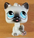 LITTLEST PETSHOP Figurine: Animated Siamese Cat #PP1 (Siamese Cat Magic Motion)