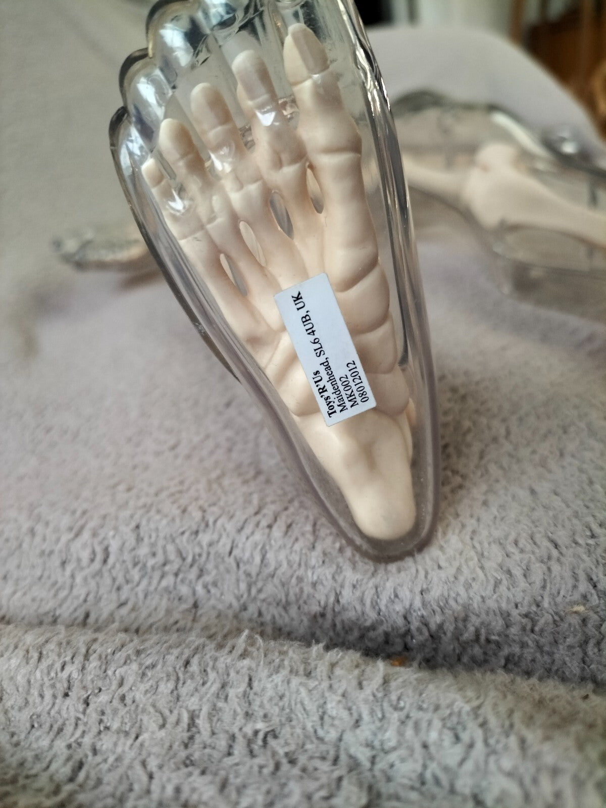 Large 56cm Human Anatomical Skeleton Educational Model TOY'S-R-Us UK