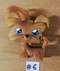 LITTLEST PETSHOP figurine: SHIH TZU YORKIE DOG #6 (dog)